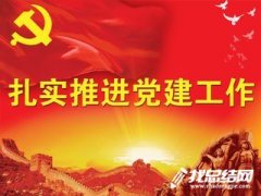 2020年党建促进月活动总结